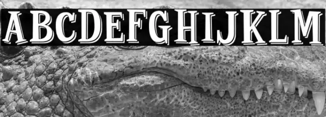 Strange Shadow Font examples