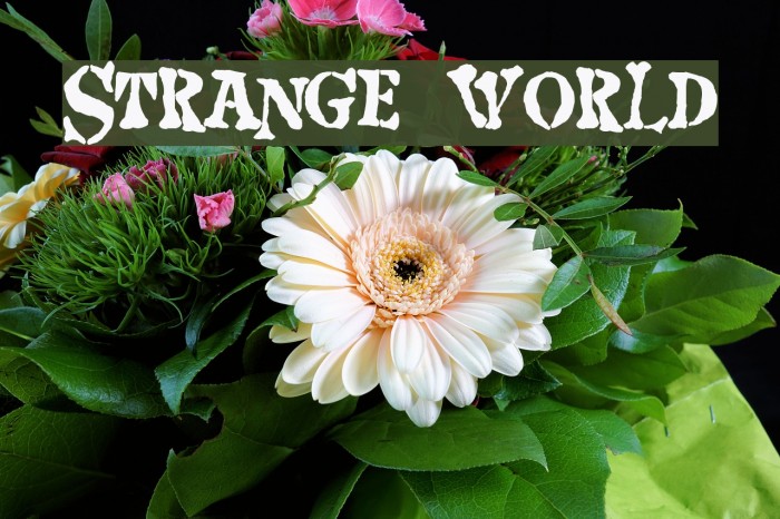 Strange world Font examples