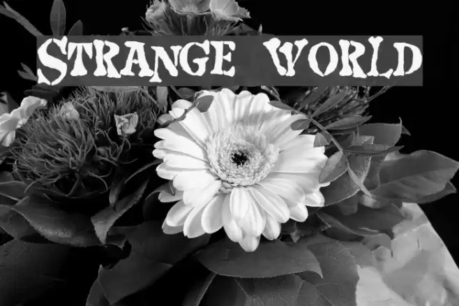 Strange world Шрифта examples