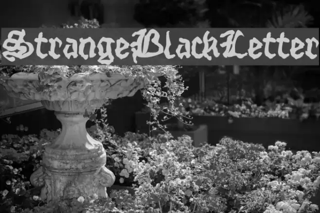 StrangeBlackLetter Font examples