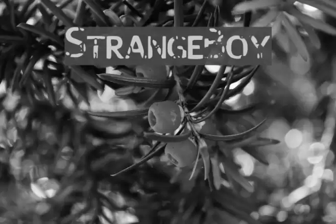StrangeBoy Font examples