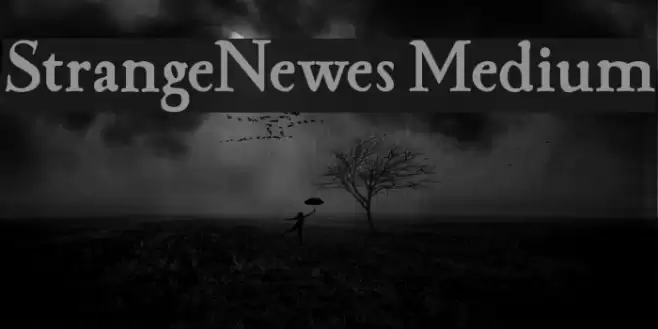 StrangeNewes Medium Font examples