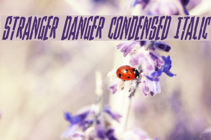 Stranger Danger Condensed Italic Font examples