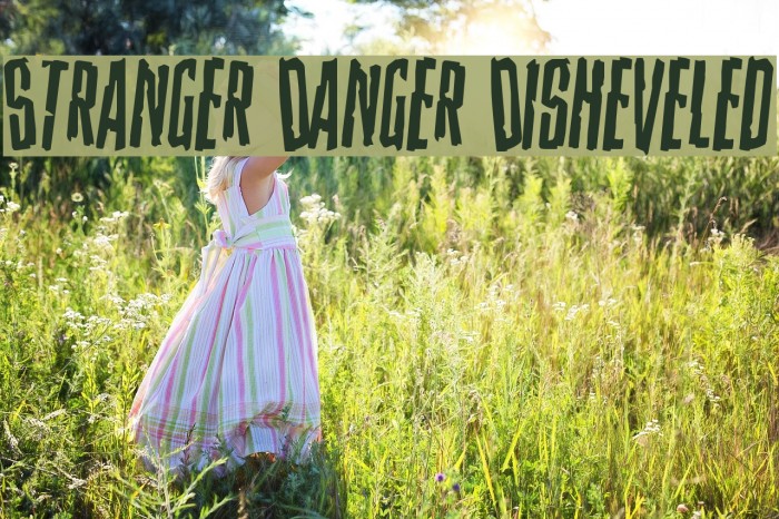 Stranger Danger Disheveled Font examples