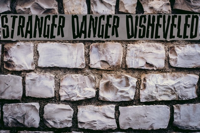 Stranger Danger Disheveled Font examples