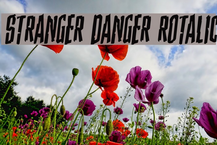 Stranger Danger Rotalic Font examples