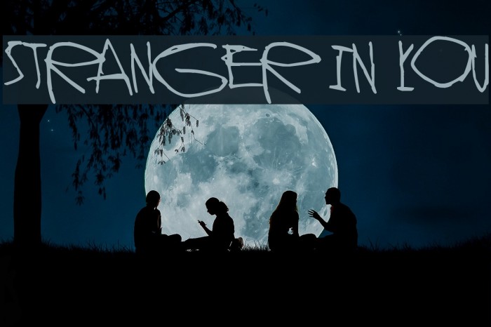 Stranger In You Example 2