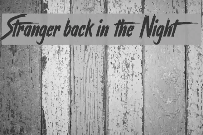 Stranger back in the Night Font examples