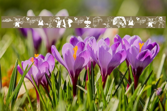 StrangersOnEarth Example 2