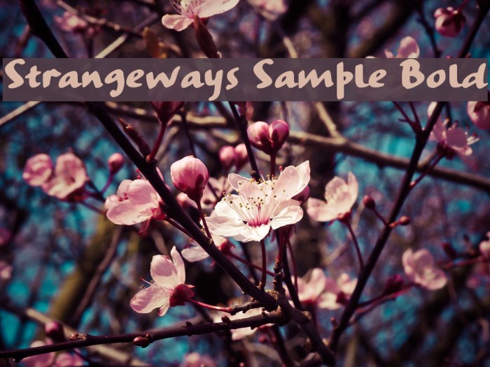 Strangeways Sample Bold Font examples