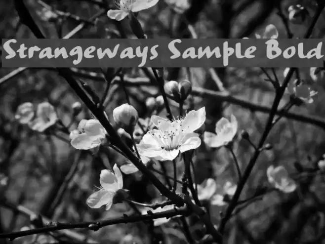 Strangeways Sample Bold Font examples