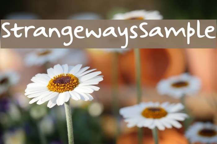 StrangewaysSample Font examples