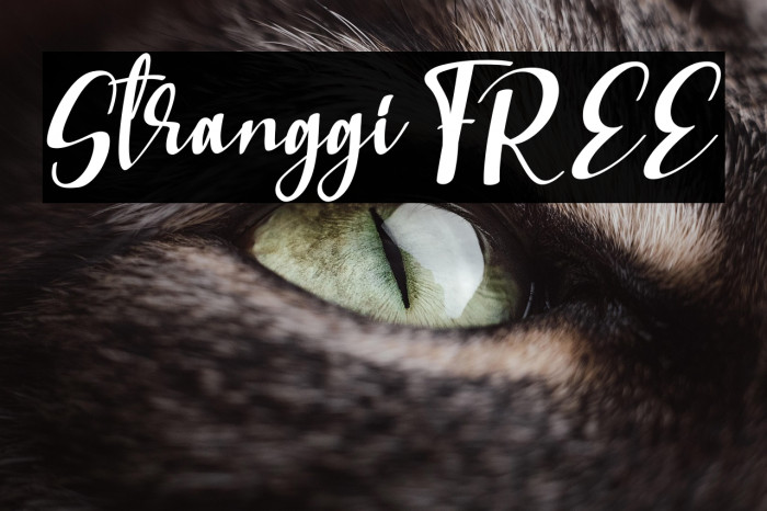 Stranggi FREE Example 1