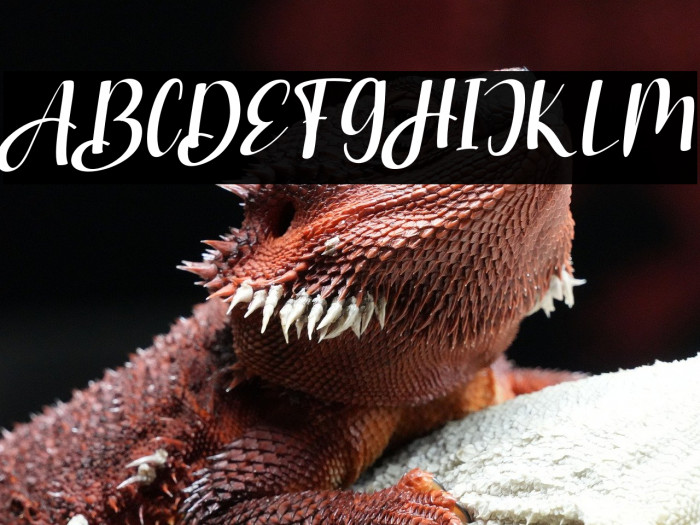 StranggiFREE Example 1