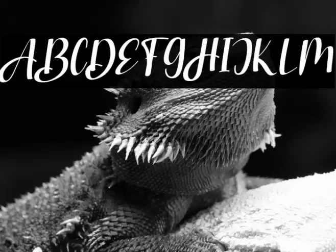 StranggiFREE Font examples