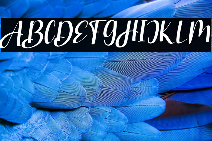 StranggiFREE Example 2