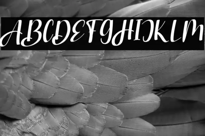 StranggiFREE Font examples