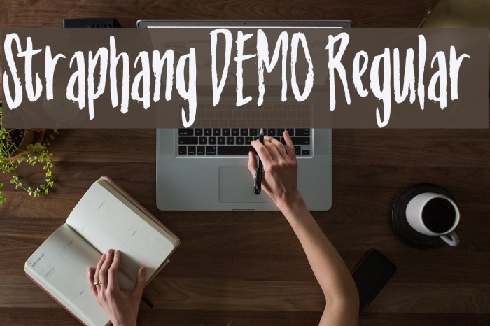 Straphang DEMO Regular Fonte examples