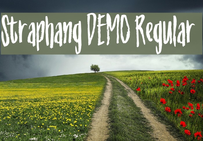 Straphang DEMO Regular Fonte examples