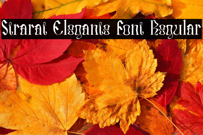 Strarat Elegante Font Regular Example 3