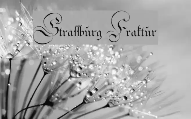 Strassburg Fraktur Font examples