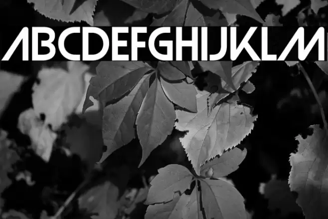 Strasua-Regular Font examples