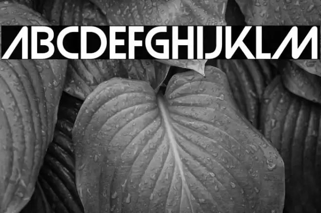 Strasua-Regular Font examples