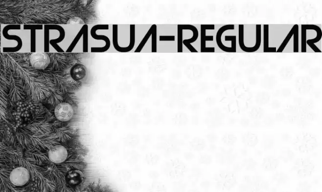 Strasua-Regular Font examples
