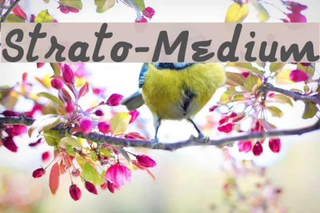Strato-Medium Example 2