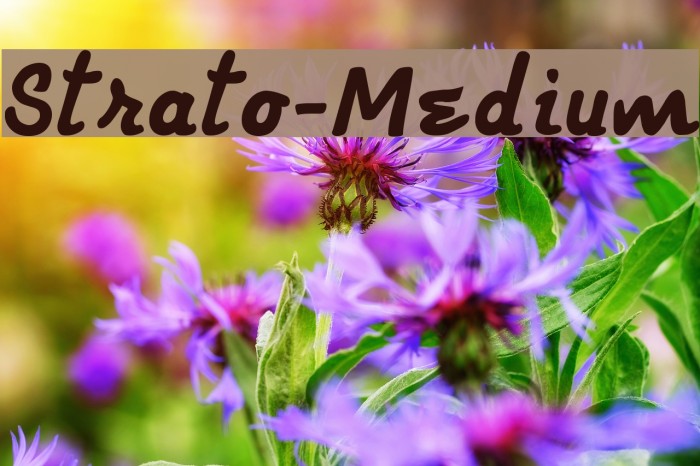 Strato-Medium Font examples