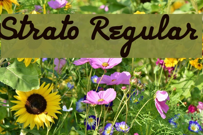 Strato Regular Font examples