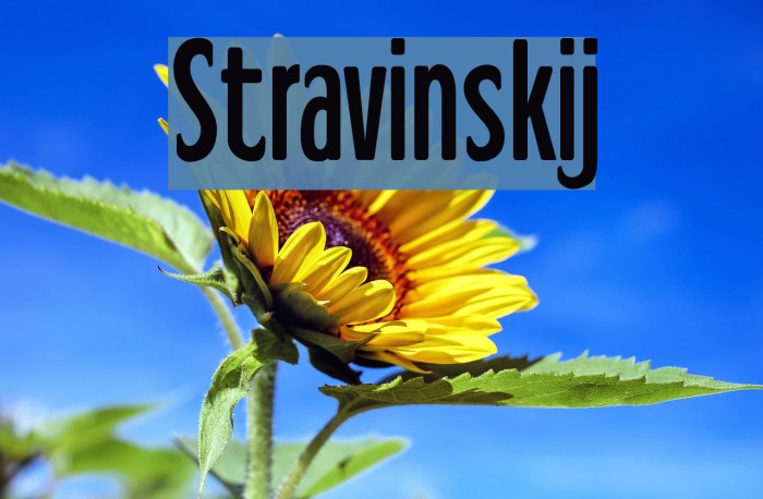 Stravinskij Font examples