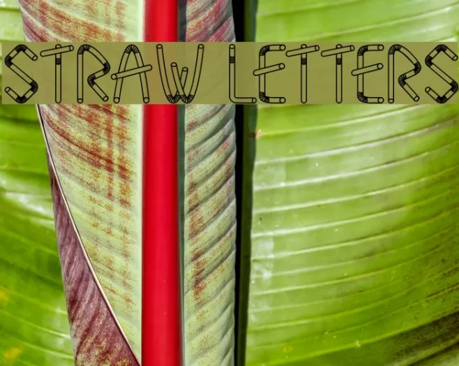 Straw Letters Example 3