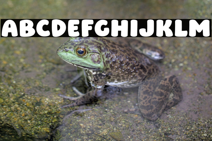 Straw Milky Example 2