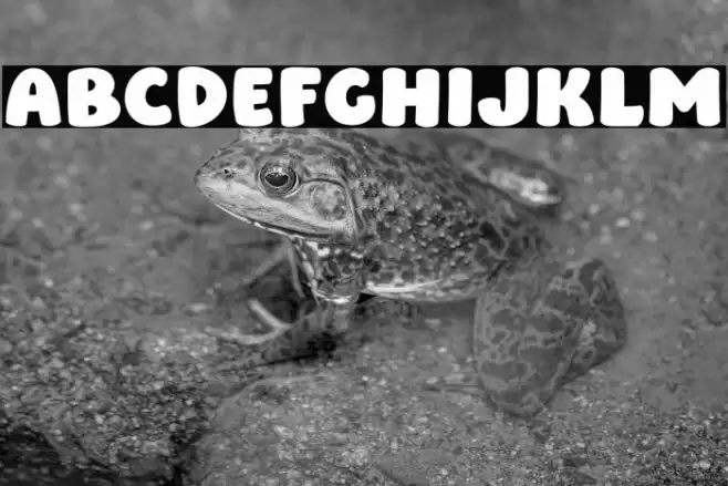 Straw Milky Font examples