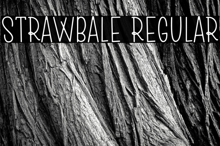 Strawbale Regular Example 1