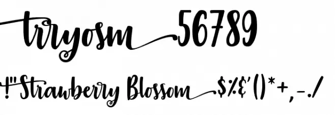 Strawberry Blossom Font OTHER CHARS