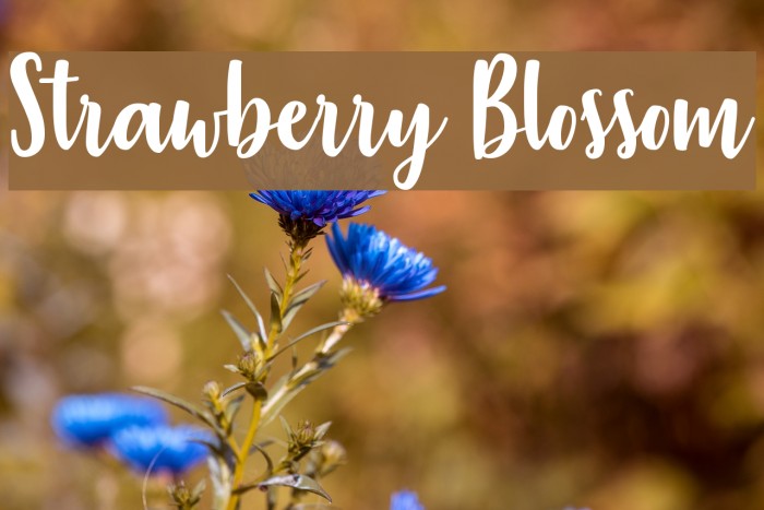 Strawberry Blossom Font - FFonts.net