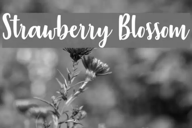 Strawberry Blossom Font examples