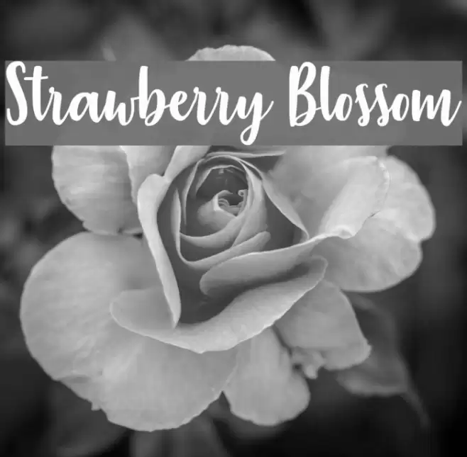 Strawberry Blossom Font examples
