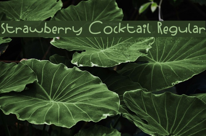 Strawberry Cocktail Regular Font examples