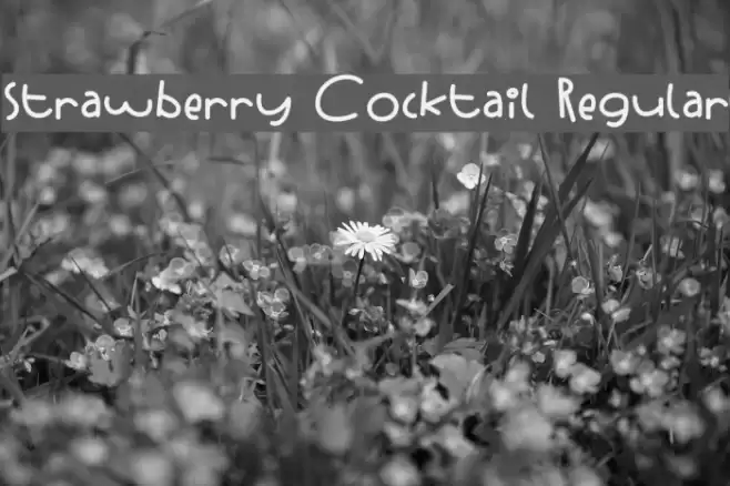 Strawberry Cocktail Regular Font examples