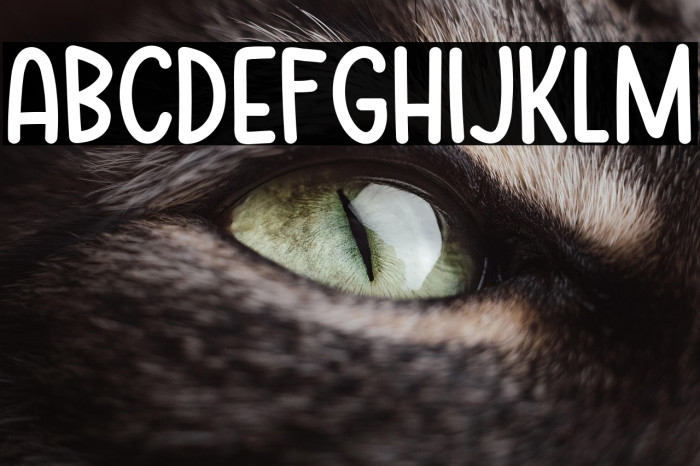 Strawberry Days Example 3