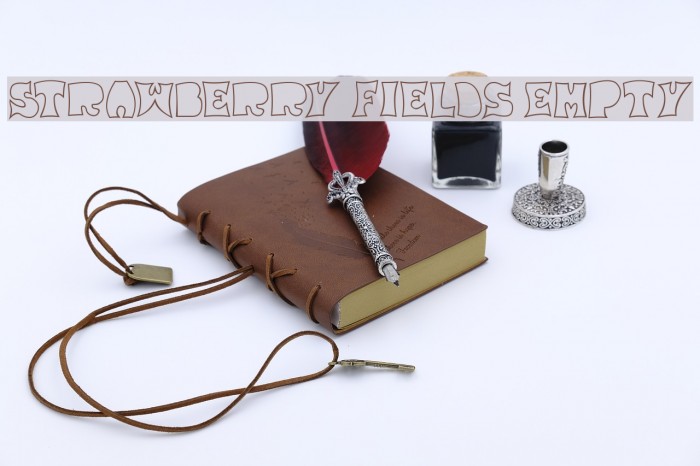 Strawberry Fields Empty Example 2