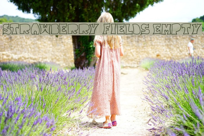 Strawberry Fields Empty Example 3