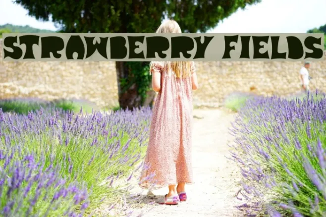 Strawberry Fields Example 1