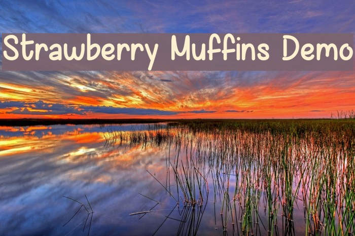 Strawberry Muffins Demo Font examples