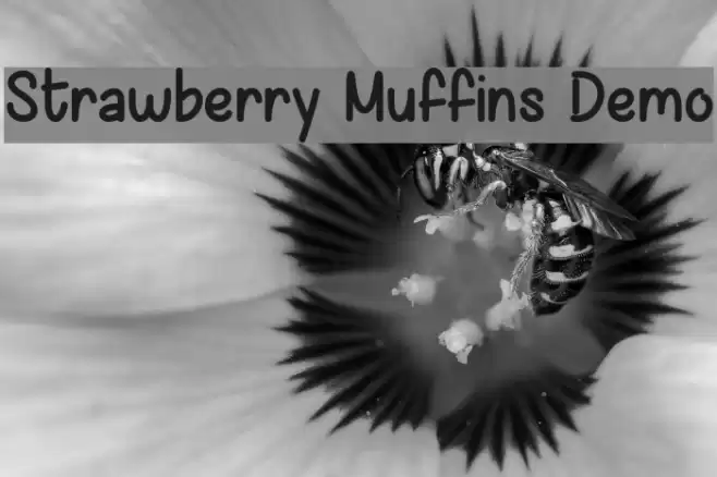 Strawberry Muffins Demo Font examples