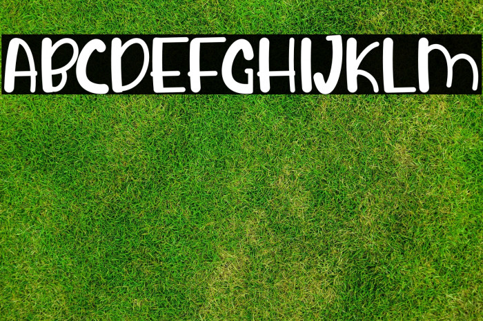 Strawberry Rounded Example 1