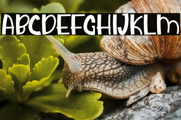 Strawberry Taper Example 1